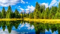 Reflections of the Grand Tetons Peaks in the waters of the Snake River at Schwabacher Landing Royalty Free Stock Photo