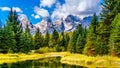 Reflections of the Grand Tetons Peaks in the waters of the Snake River at Schwabacher Landing Royalty Free Stock Photo