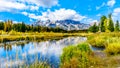 Reflections of the Grand Tetons Peaks in the waters of the Snake River at Schwabacher Landing Royalty Free Stock Photo