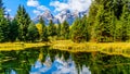 Reflections of the Grand Tetons Peaks in the waters of the Snake River at Schwabacher Landing Royalty Free Stock Photo