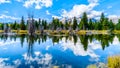 Reflections of the Grand Tetons Peaks in the waters of the Snake River at Schwabacher Landing Royalty Free Stock Photo