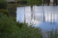 Reflections. Houses in Water III. Royalty Free Stock Photo