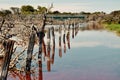 Reflections: Lake Coogee, Western Australia Royalty Free Stock Photo