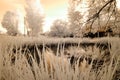 reflections in the lake. infrared image