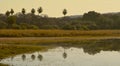 Reflections in lake at Ranthambore National Park