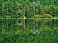 Reflections on the lake