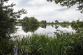 Reflections in the Leersumse Plassen