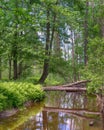 Reflections, Little Cedar River, Gladwin, MI