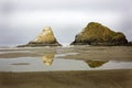 Reflections of the monoliths at Heceta Head State park