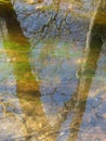 Reflections in Moving Water, a Shallow Stream with Trees Reflected in the Water