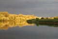 Reflections of native flora on VÃÂ­stula river in Cracovia, Poland Royalty Free Stock Photo