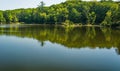 Reflections on Pandapas Pond