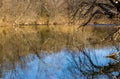 Reflections on Peaceful Trout Stream