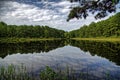 Reflections on the Pond Royalty Free Stock Photo