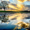 Reflections in a puddle of a Beautiful dramatic sunset over a field