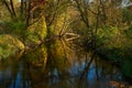 Reflections in a quiet stream Royalty Free Stock Photo