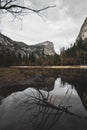 Reflections of Rocks and Dear Tree Branches in Mirror Lake in Yosemite National Park, California Royalty Free Stock Photo