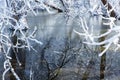 Reflections in a semi frozen Duck pond in Arizona