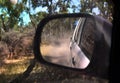 Reflections in a side view mirror of a car driving in the bush.