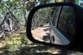 Reflections in a side view mirror of a car driving in the bush.