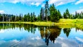 A small lake along the Lac Le Jeune Road near Kamloops, British Columbia, Canada