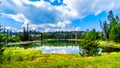 A small lake along the Lac Le Jeune Road near Kamloops, British Columbia, Canada Royalty Free Stock Photo