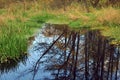 Reflections in a small lake October forest during afternoon Royalty Free Stock Photo