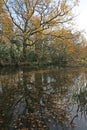 Reflections in Stover country park, Royalty Free Stock Photo