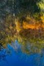 Reflections on a sunny autumn day at Cripplegate Lake Royalty Free Stock Photo