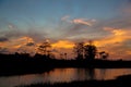 Reflections of sunset silhouette in the cypress swamp Royalty Free Stock Photo