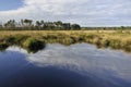 Reflections at Thursley Common Royalty Free Stock Photo