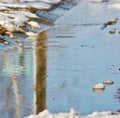 Reflections in Snow Melt Water 2 Royalty Free Stock Photo