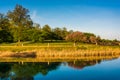 Reflections of trees in Druid Lake, at Druid Hill Park in Baltimore, Maryland.