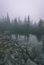Odrazy stromov vo vode jazera v rannej hmle - vzhľad filmu s vintage efektom