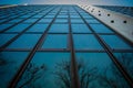 Reflections of trees on a reflective building at dusk Royalty Free Stock Photo