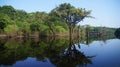 Reflections of trees in the river at rain forest in Amazonas, Brazil Royalty Free Stock Photo