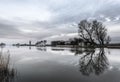 Reflections of Trees At Thurne Royalty Free Stock Photo