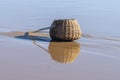 Reflections of vintage fishing creel on water in Marau, Brazil