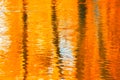 Reflections in the water, abstract autumn background Royalty Free Stock Photo