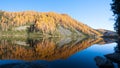 Reflections on water, autumn panorama from mountain lake Royalty Free Stock Photo