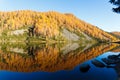 Reflections on water, autumn panorama from mountain lake Royalty Free Stock Photo