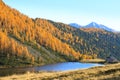 Reflections on water, autumn panorama from mountain lake Royalty Free Stock Photo