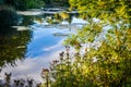 Reflections on lake water,Mill lake,Andover,England Royalty Free Stock Photo