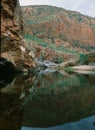 Reflections in waterhole on the Finke River in Central Australia Royalty Free Stock Photo