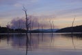 Pastel sunset with reflections of dead trees in Lake Tinaroo