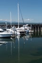 Reflections of white boat masts at Edmonds marina Royalty Free Stock Photo