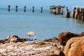 Reflective ball on beach rock