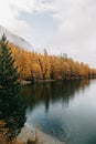 Reflective calm mountain lake and autumn fir trees with a snow-covered cloudy mountain behind