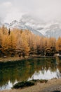 A reflective calm mountain lake and autumn fir trees with a snow-covered cloudy mountain behind