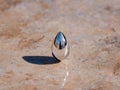 Reflective chrome drop on desert surface